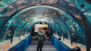 【青森県】子連れおでかけ・浅虫水族館レポ・駅から徒歩10分！イルカショーや陸奥湾トンネルが楽しめる青森県の人気水族館。