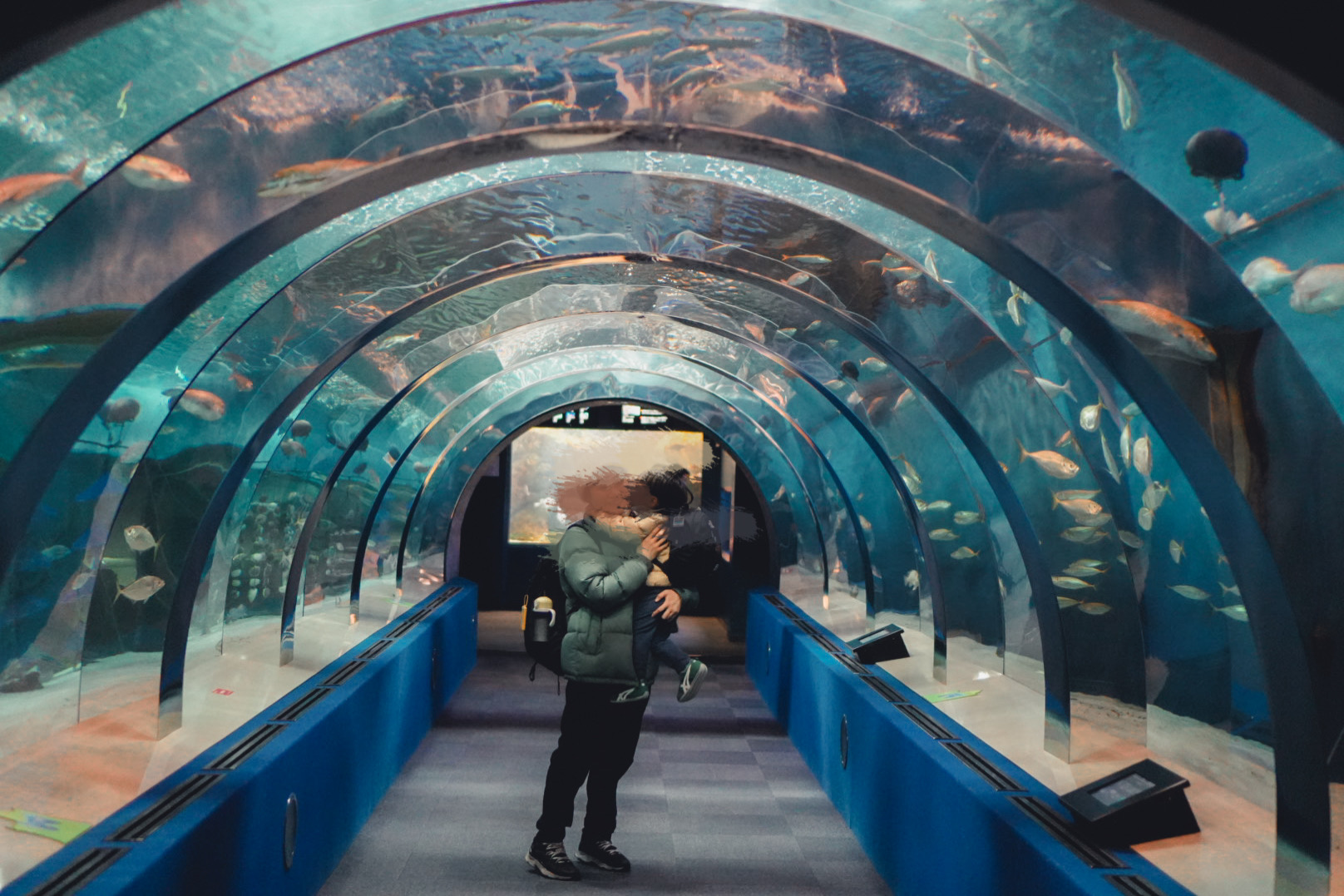 【青森県】子連れおでかけ・浅虫水族館レポ・駅から徒歩10分！イルカショーや陸奥湾トンネルが楽しめる青森県の人気水族館。