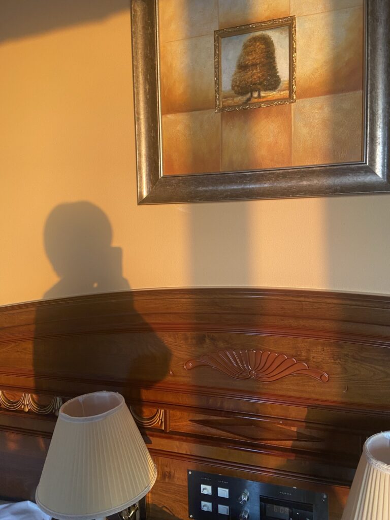 ホテルノイシュロス小樽の客室の様子