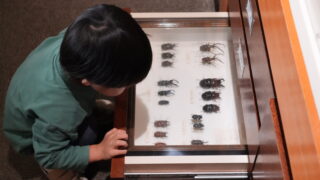 【栃木県宇都宮市】栃木県立博物館×中央公園：子連れで楽しむ1日コース！駐車場・ランチ・授乳室情報までレポ　