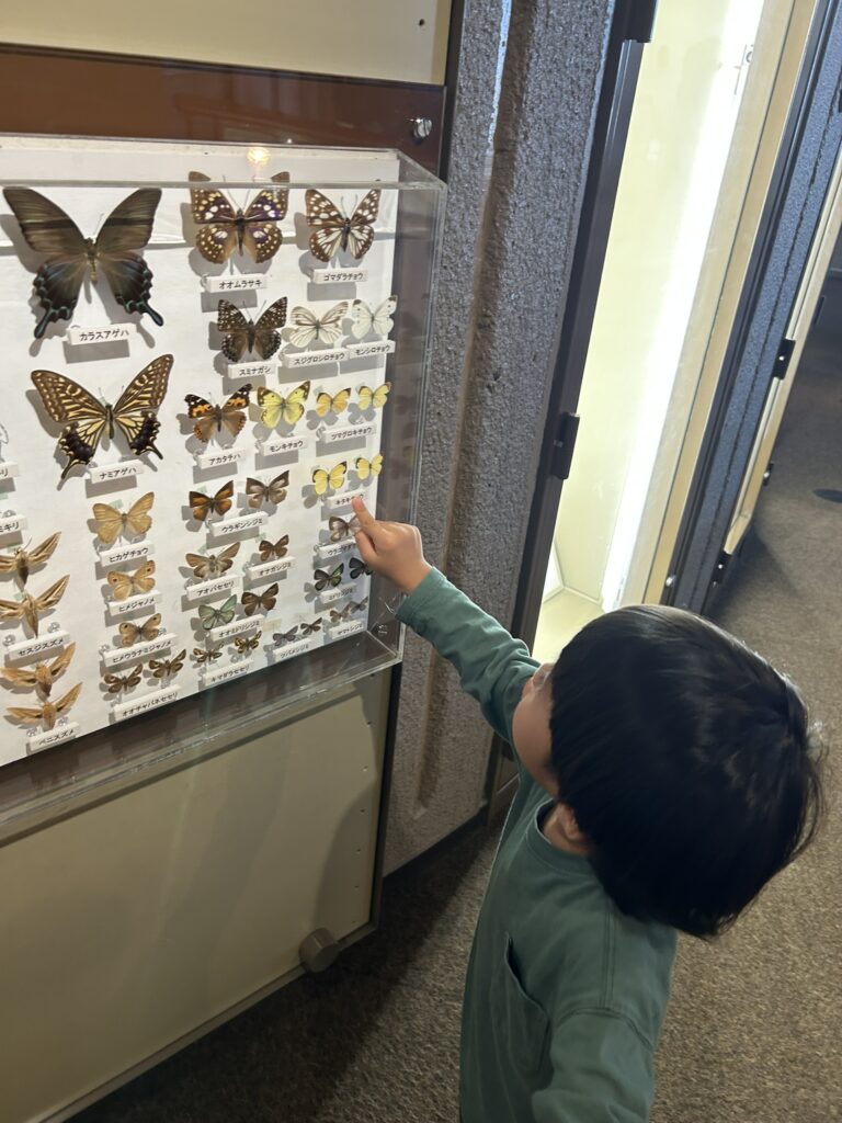 スロープで日光の自然を学べるコーナー