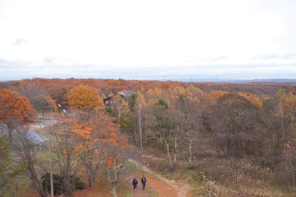 道の駅ウトナイ湖