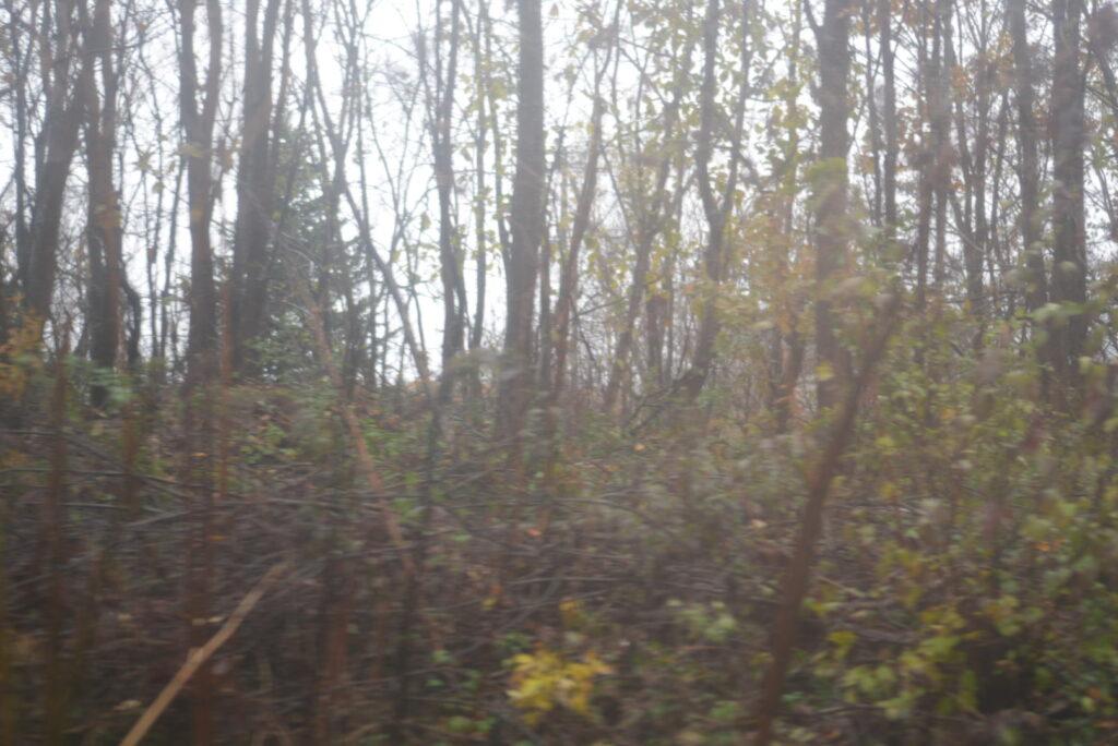 特急北斗からの景色