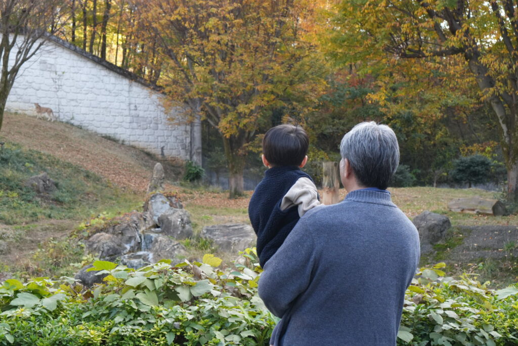 多摩動物公園のチーター