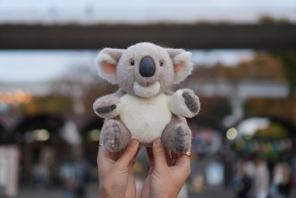 多摩動物公園のコアラのぬいぐるみ