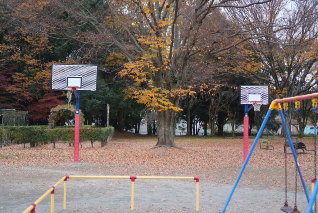 小山運動公園のバスケットゴール