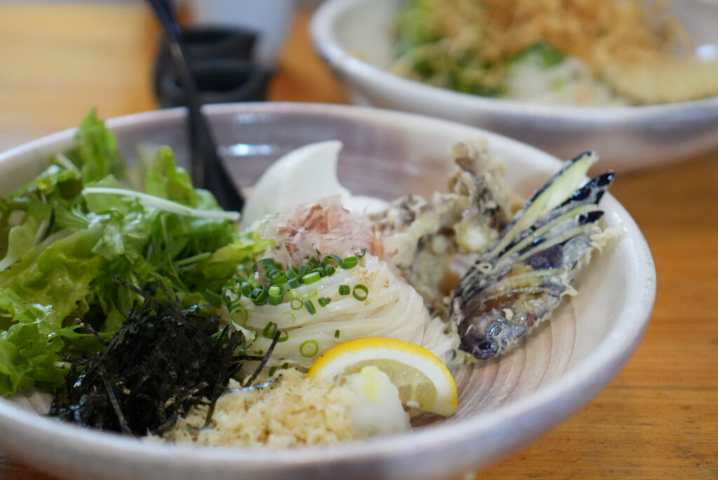 自家製とうふとマイタケ天のぶっかけうどん