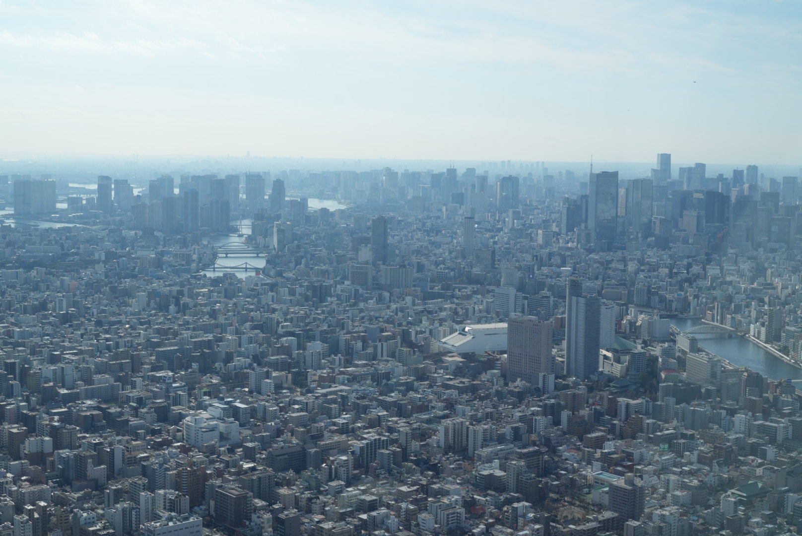 【東京墨田区】栃木県から行く東京スカイツリー｜3歳子連れで過ごす1日の流れ